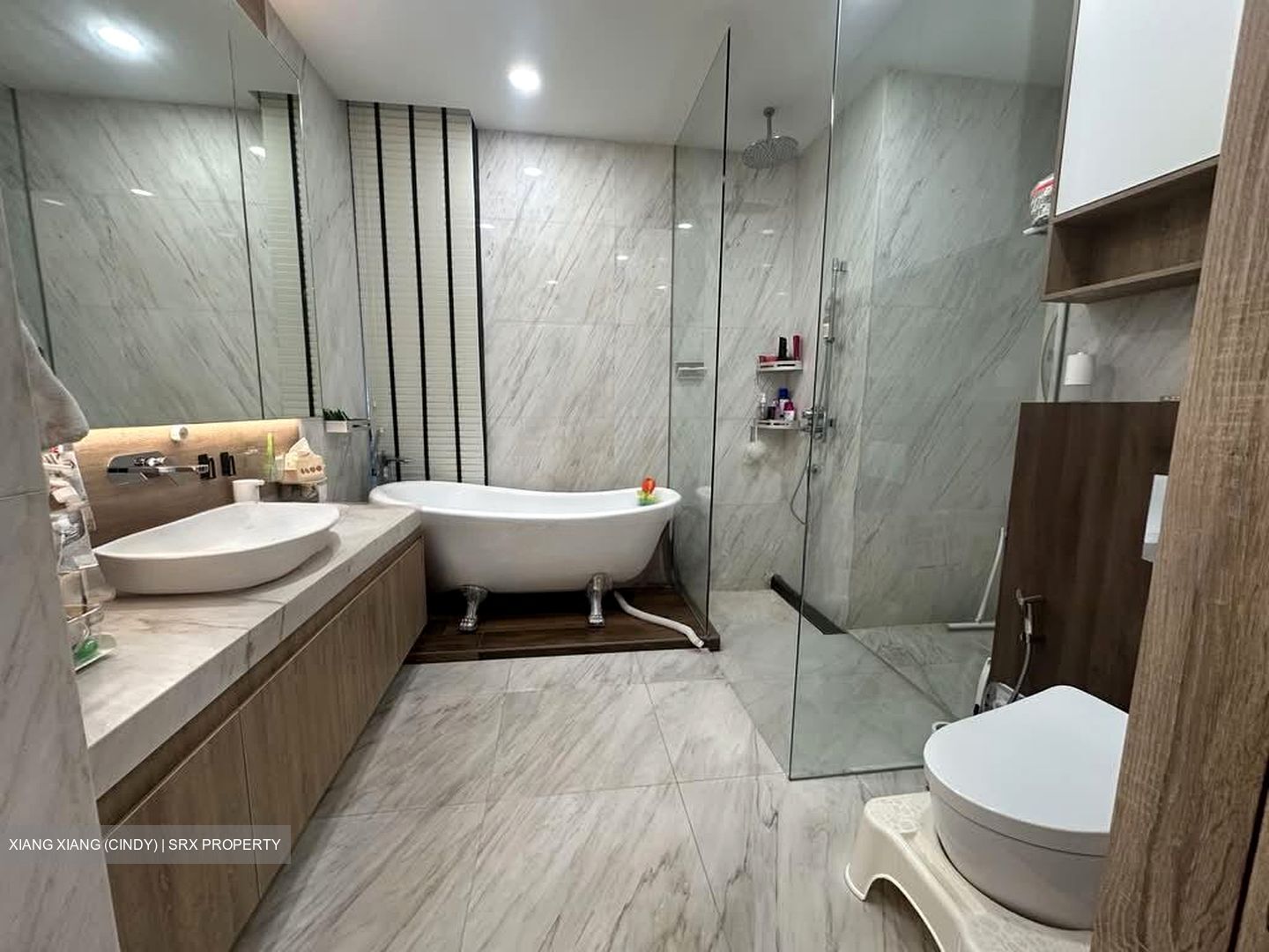 Nouvel 18 (D10), Condominium #584820091